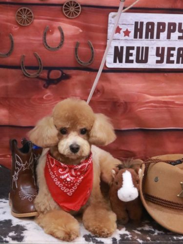 20260123むぎちゃん