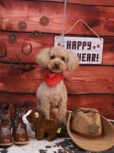 20260123なるちゃん