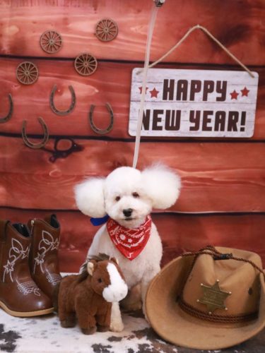 20260123あんちゃん