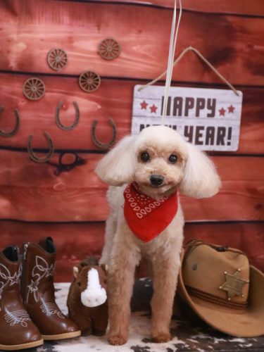 20260123うたちゃん