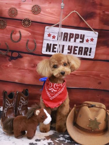 20260124モカちゃん