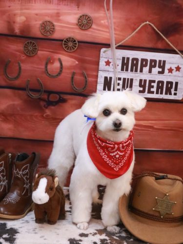 20260124うみちゃん