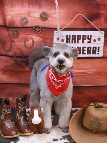 20260124シルヴァくん