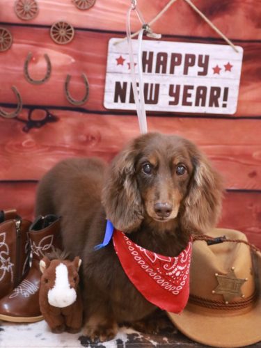 20260124ジョナくん