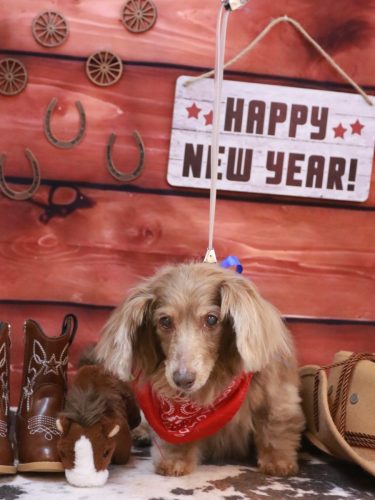 20260124桃ちゃん