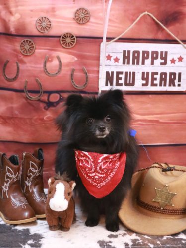 20260124まめくん