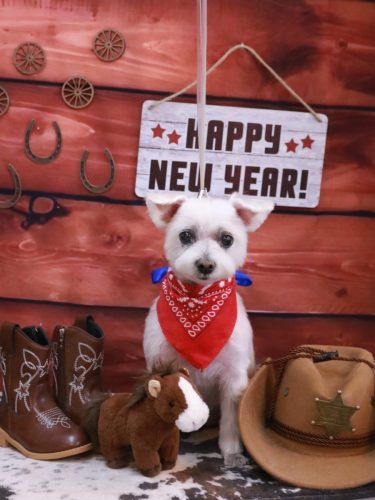 20260124ヒメちゃん