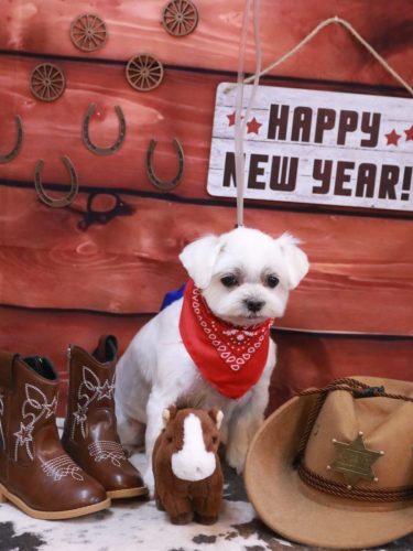 20260124マルちゃん