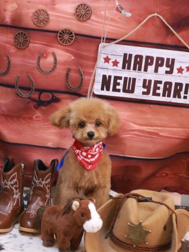 20260124部長くん