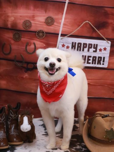 20260124しゅんくん