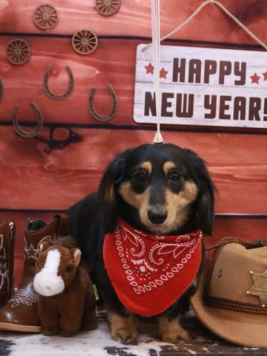 20260124はなちゃん