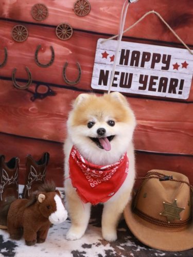 20260124モコくん