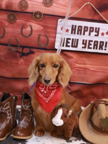 20260125しろくん