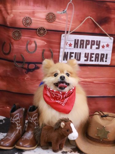 20260125梛都ちゃん