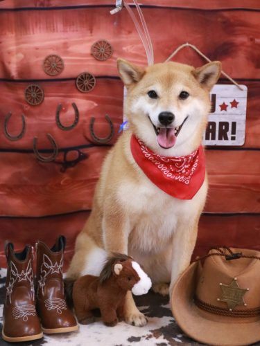 20260125シュウくん