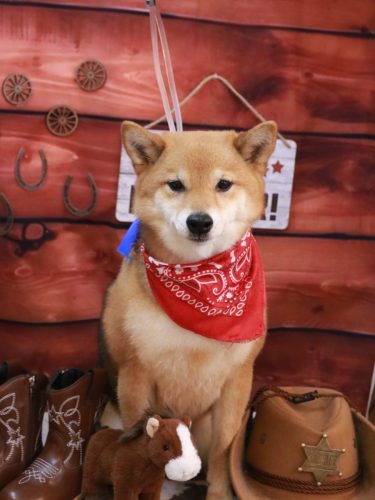 20260125リンちゃん