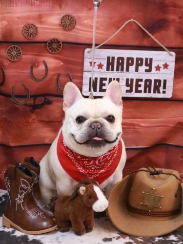 20260125だいずくん