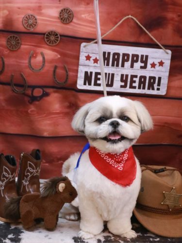 20260125みたらしちゃん