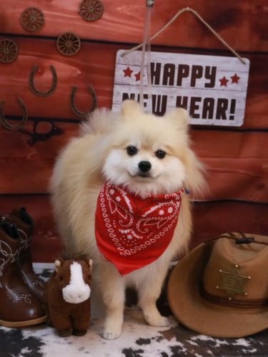 20260125なちゅくん