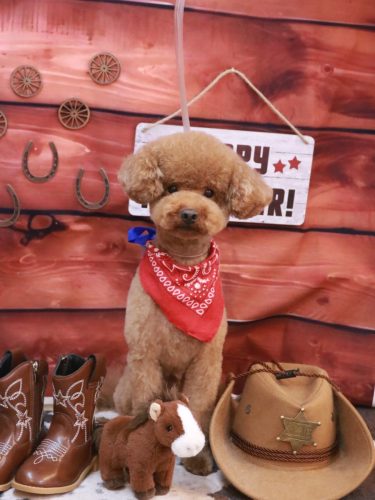 20260125まめくん