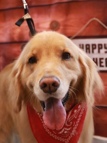 20260127レオくん