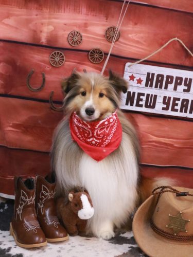 20260127ノアくん