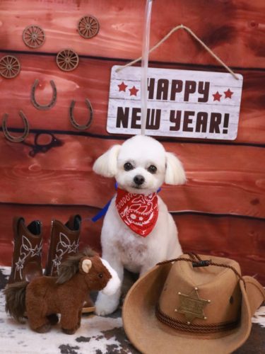 20260127小雪ちゃん