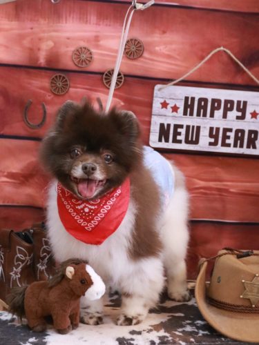 20260127太郎くん