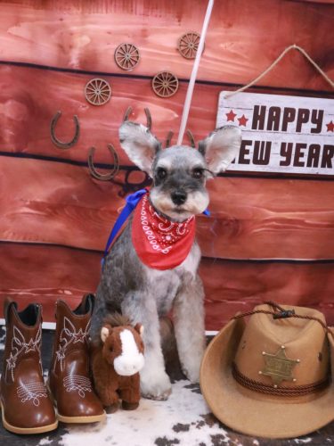 20260127むぎちゃん