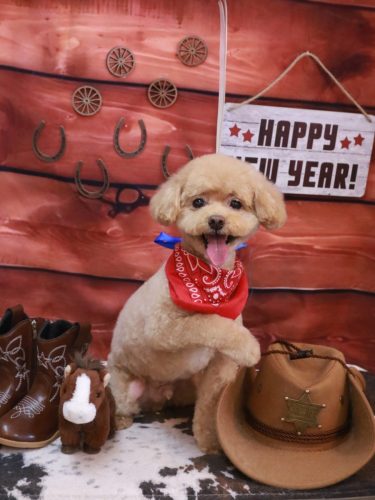 20260127ぽっきーくん