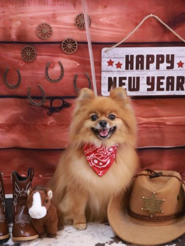 20260127ルルちゃん