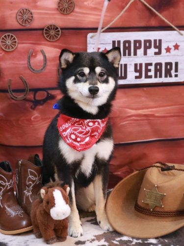 20260127むさしくん