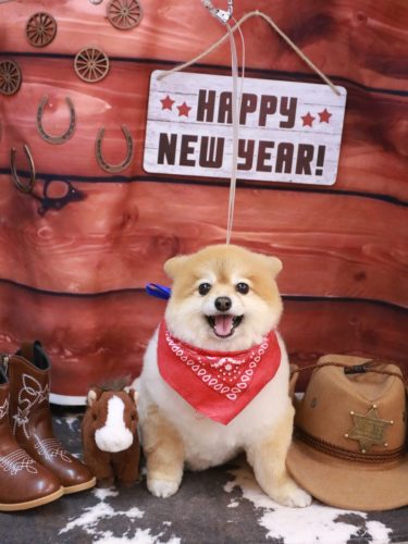 20260128むぎちゃん