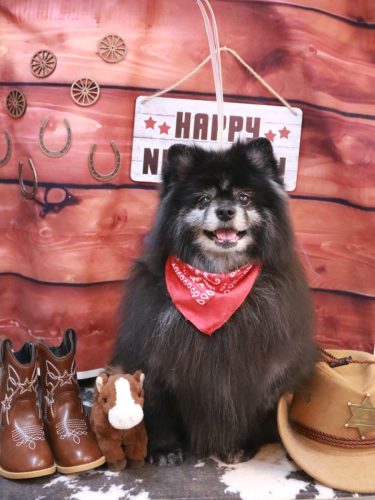 20260128ふわりちゃん