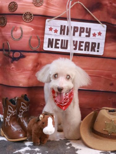 20260128ロンくん