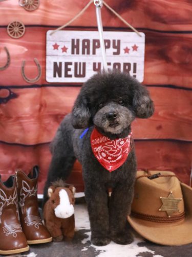 20260128コタロウくん