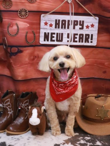 20260128ムックくん