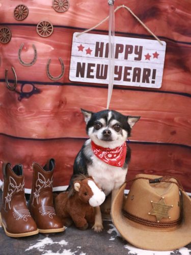 20260128チー太くん