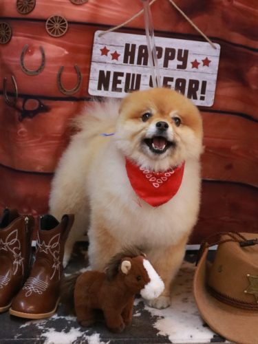 20260128たぬきちくん