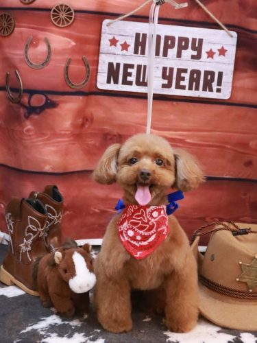 20260128永遠ちゃん