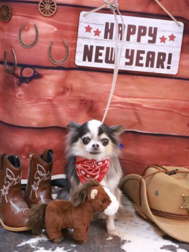 20260128ひめちゃん