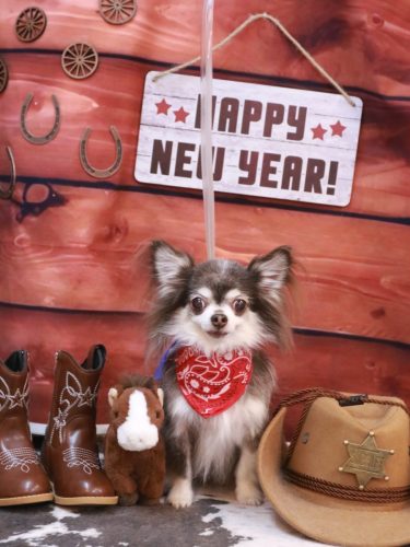 20260128空太くん