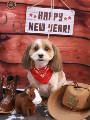 20260128メイちゃん