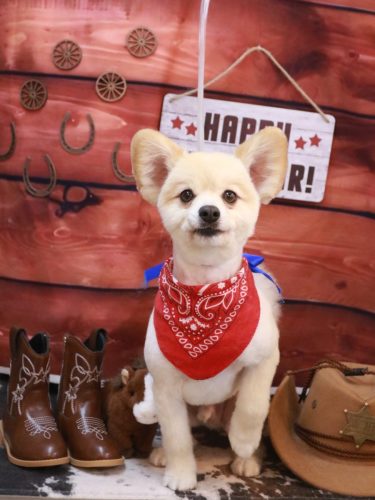 20260129ぽんずくん