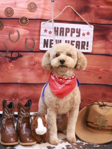 20260129モナカくん