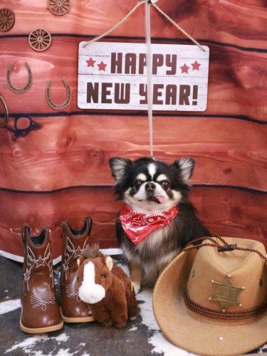 20260129ごまくん