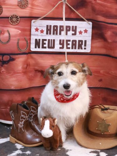 20260129こはるちゃん