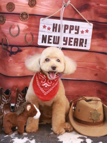 20260129モンチちゃん