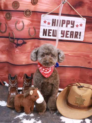 20260129モカくん