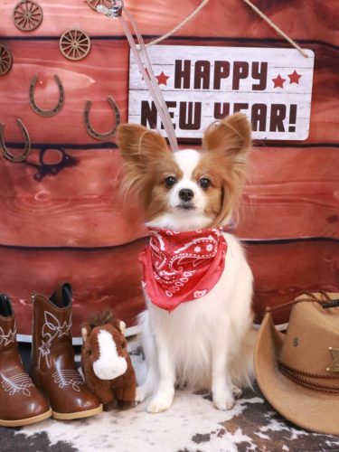 20260129ぎゅうちゃん